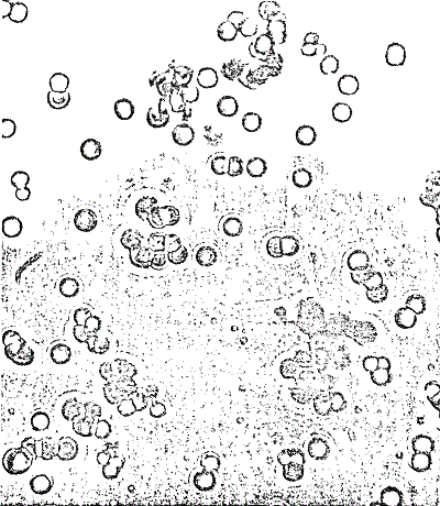 figure 07 3 a 400