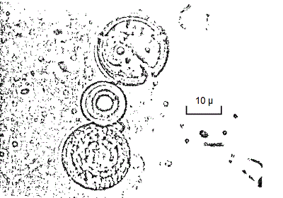 figure 07 3 b 400