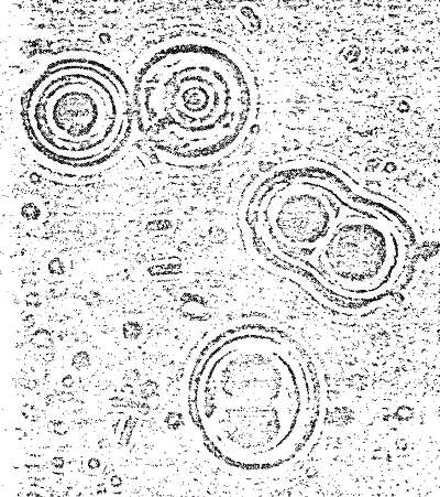 figure 07 3 d 400