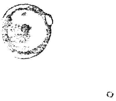figure 07 3 e 400