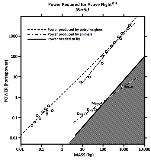 figure 11 5A 500px