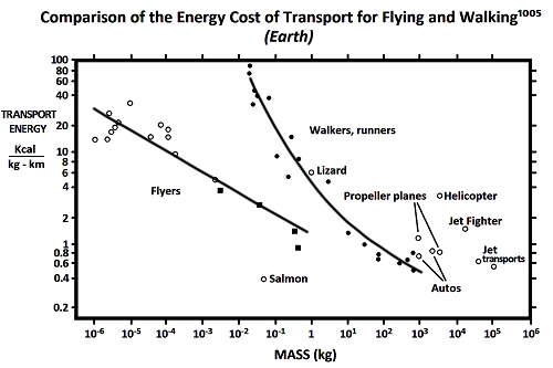 figure 11 5B 500px
