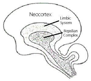 Figure 14.2