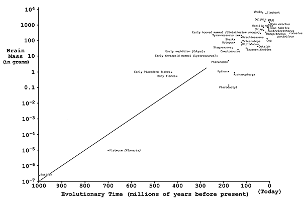 figure 14 1 605px